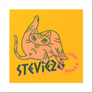 Stevie26 break the rules cat Posters and Art